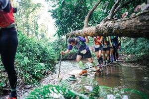 BIB: 
                            <button type="button" onclick="openModal(25459545)" class="btn btn-primary btn-sm float-right btn-popup" data-toggle="modal" data-target=".modal-high-quality">
                        <i class="fas fa-shopping-cart"></i> Add to Cart
                    </button>
                                            <button type="button" onclick="isThisMe(25459545, true)" class="btn btn-success btn-sm float-right btn-popup btn-isme hidden" data-toggle="tooltip" data-placement="bottom" title="นี่คือรูปของคุณใช่ไหม คลิกที่นี่เพื่อเอาเข้าอัลบั้ม">
                        <i class="fas fa-plus"></i> Add to album
                    </button>
                    <button type="button" onclick="isThisMe(25459545, false)" class="btn btn-warning btn-sm float-right btn-popup btn-isnotme hidden">
                        <i class="fas fa-ban"></i> Remove from album
                    </button>